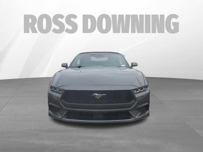 2024 Ford Mustang EcoBoost