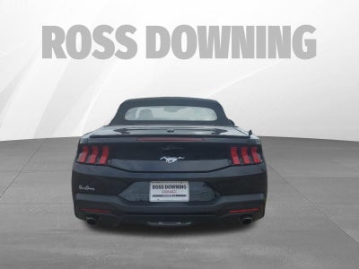 2025 Ford Mustang EcoBoost
