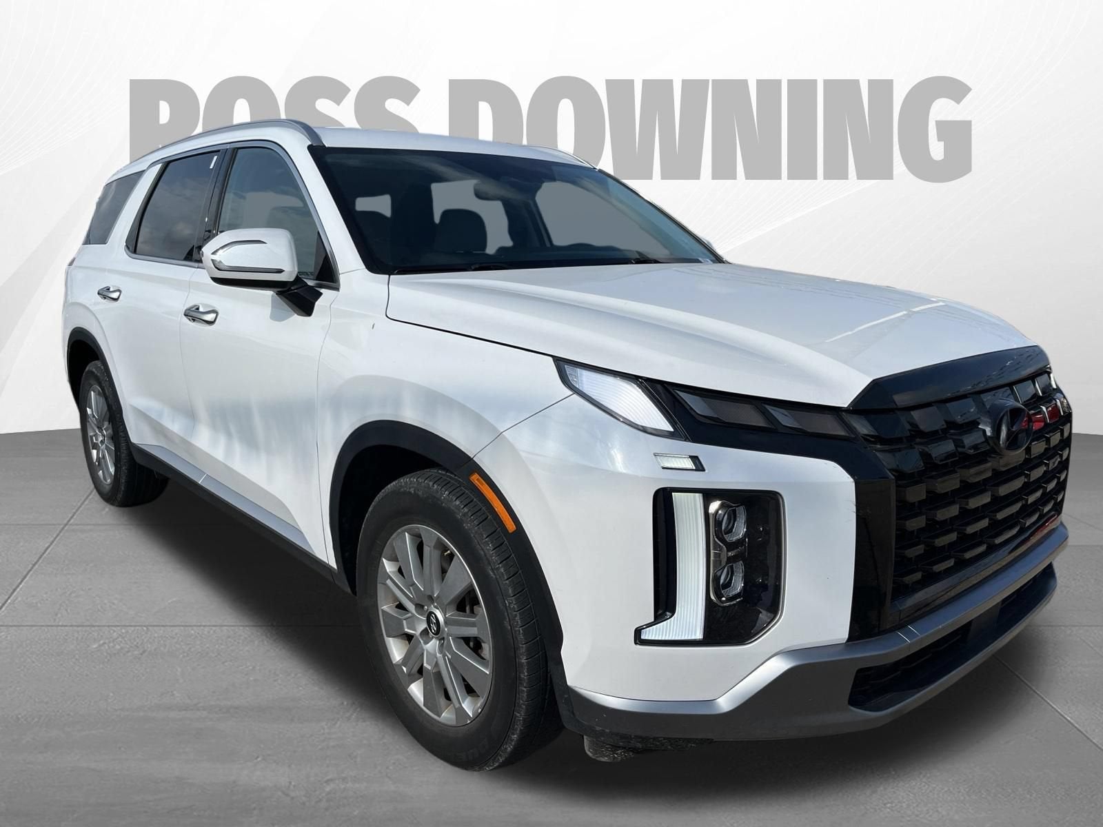 2024 Hyundai Palisade SEL