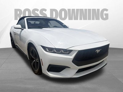 2024 Ford Mustang EcoBoost