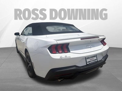 2024 Ford Mustang EcoBoost