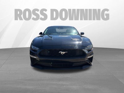 2019 Ford Mustang EcoBoost