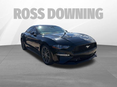 2019 Ford Mustang EcoBoost