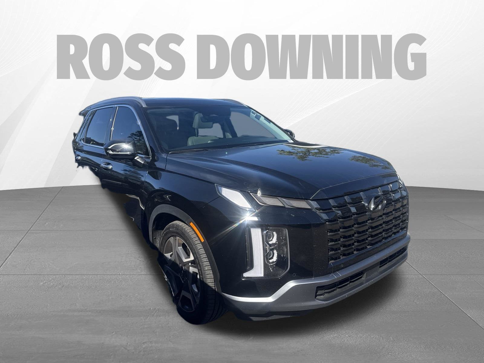 2024 Hyundai Palisade SEL 7P