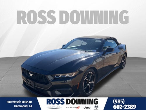 2024 Ford Mustang EcoBoost
