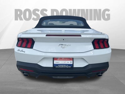 2025 Ford Mustang EcoBoost Premium